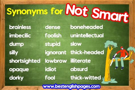66 Phrases for Not <b>Smart</b> <b>not</b> hyperintelligent not brainy not fashionable # looks not knowledgeable # witless not witty not canny not chic # looks not educated # witless not exceptional not fashionably dressed # looks not learned # witless not lettered # witless not literate # witless not modish # looks not neat # looks not nimble-witted # witless. . Synonyms for not smart